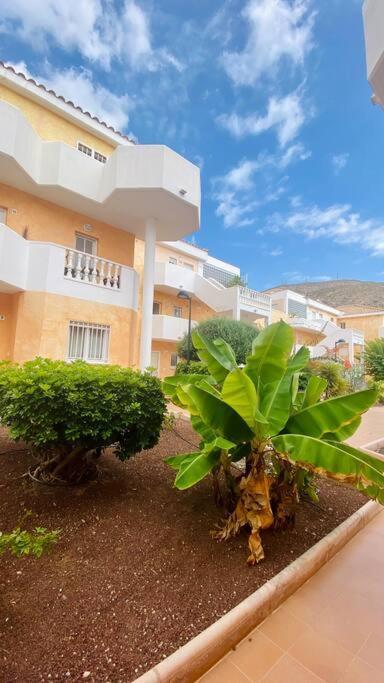Golden Suite Ocean View & Pool Los Cristianos  Dış mekan fotoğraf