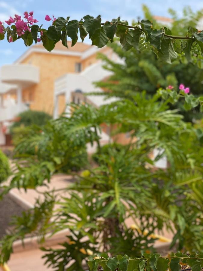 Golden Suite Ocean View & Pool Los Cristianos  Dış mekan fotoğraf